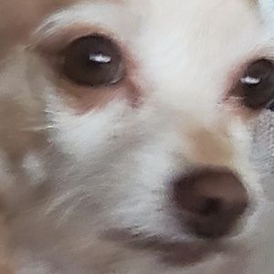 Meet your Posher, Alberto